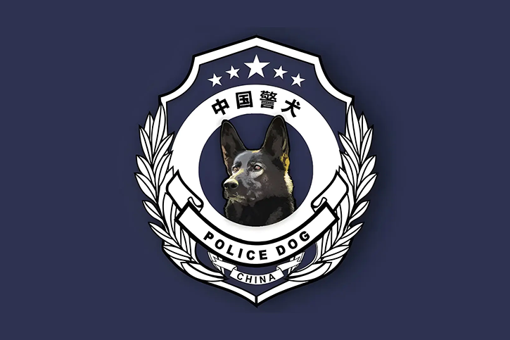LOOG設計